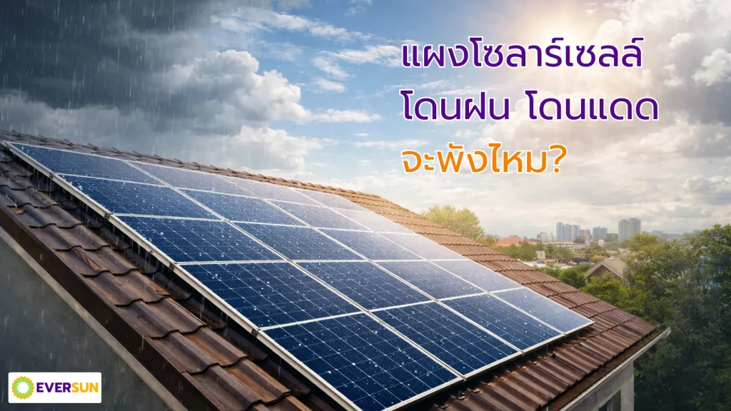 หน้าปก แผงโซลาร์เซลล์โดนฝน โดนแดด จะพังไหม Eversun