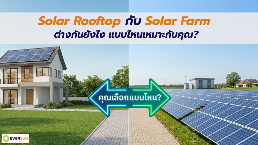 หน้าปก 02 Solar Rooftop กับ Solar Farm ต่างกันยังไง แบบไหนเหมาะกับคุณ