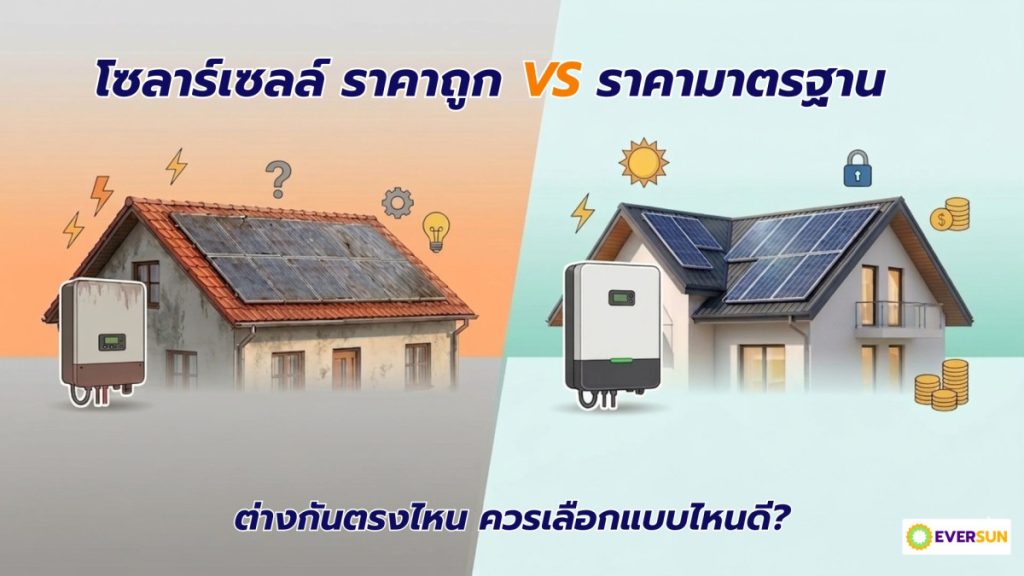 หน้าปก 03 โซลาร์เซลล์ราคาถูก vs ราคามาตรฐาน ต่างกันตรงไหน ควรเลือกแบบไหนดี