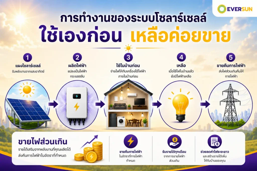 ใช้ไฟเอง หรือขายไฟคืน แบบไหนคุ้มกว่ากัน