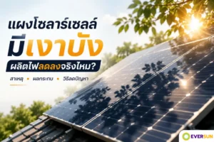 แผงโซลาร์เซลล์มีเงาบัง ผลิตไฟลดลงจริงไหม