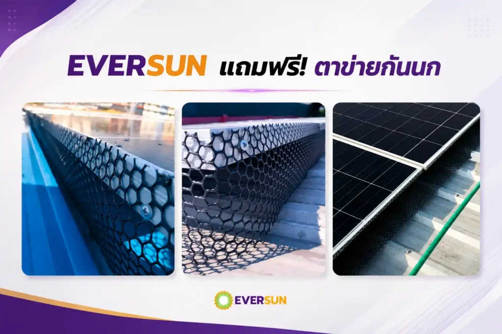 EVERSUN แถมฟรี! ตาข่ายกันนก
