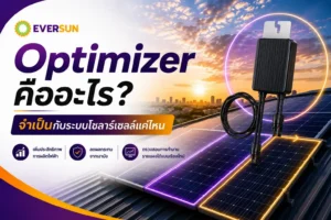 Optimizer_คืออะไร_EVERSUN